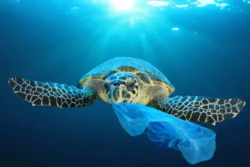 Dia internacional de bolsas de plástico