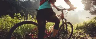 Bicicletas